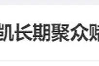 火箭队新赛季双塔战术布局：卡佩拉与亚当斯续约再战江湖